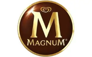 magnum - clients testimonials