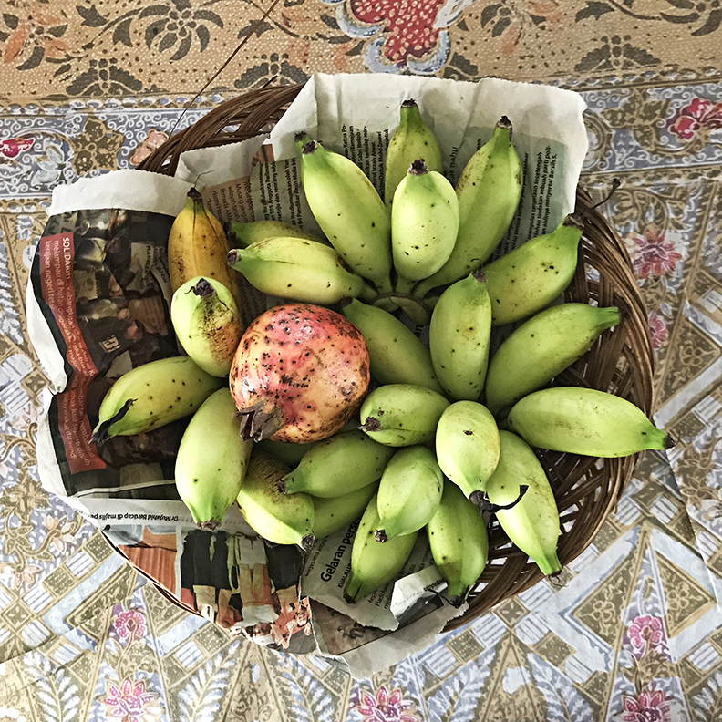 Pesticide-free tropical fruits, Lumut seaside town, Malaysia. © Zarina Holmes Photography
