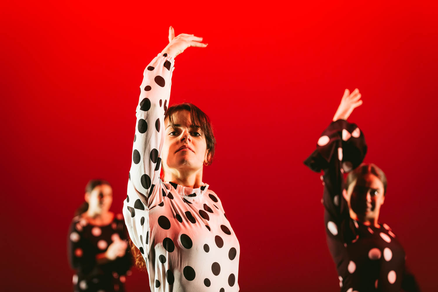 Together Dance Show - City Academy