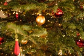 festive season ideas