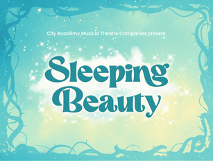 Musical Theatre Company