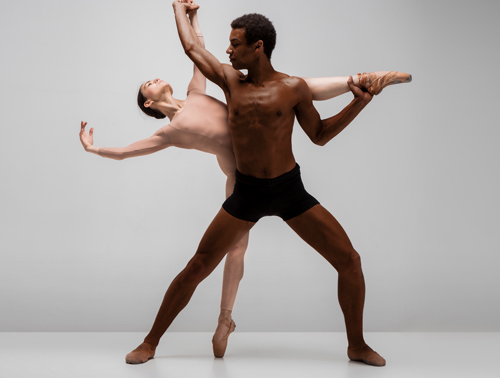 Advanced / Professional Ballet Course - 1 Year