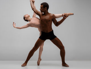 Advanced / Professional Ballet Course