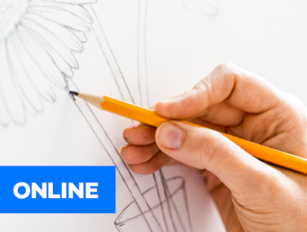 Online Drawing Classes