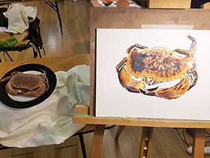 How to Paint Classes – Beginners