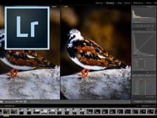 Lightroom Courses for Photographers
