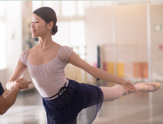Advanced / Professional Ballet – 4 Week