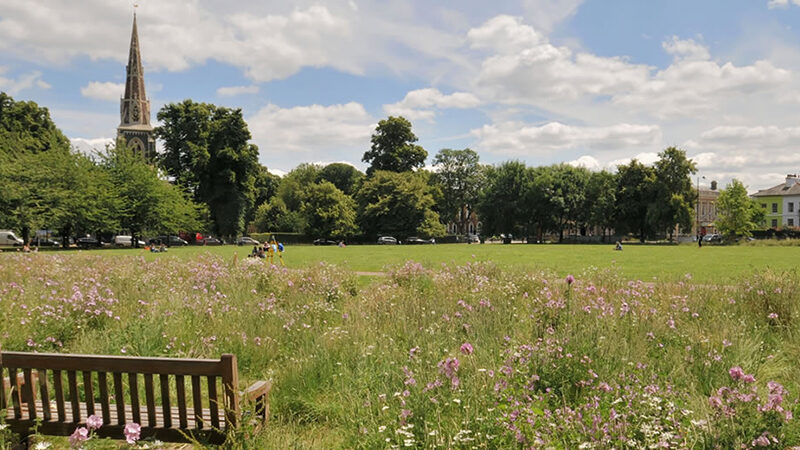 Arts Educational, W4
